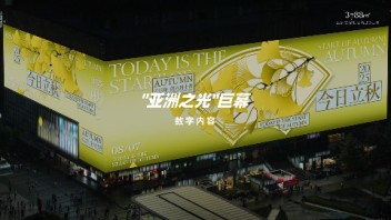 今日立秋，银杏翩跹，秋序初开。