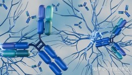 2026细胞生物展|2026北京细胞生物与基因治疗展览会