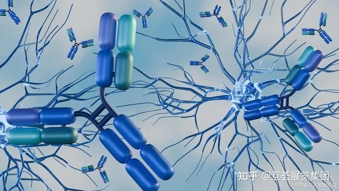 2026细胞生物展|2026北京细胞生物与基因治疗展览会