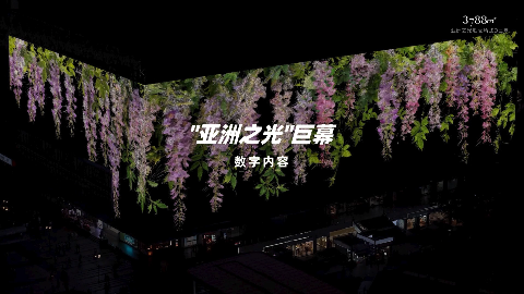 《时光的藏品》之「紫藤」，算法艺术为绚丽绽放的瞬间赋予新诠释