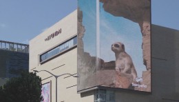 【第六弹】《THE ZOO》 Art is your DUTY - 城市艺术活动