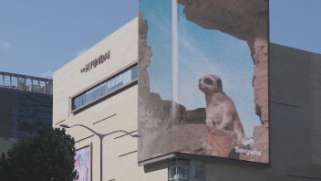 【第六弹】《THE ZOO》 Art is your DUTY - 城市艺术活动