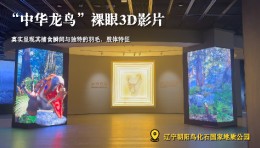 裸眼3D还原最早被发现的带毛恐龙——中华龙鸟的外貌特征