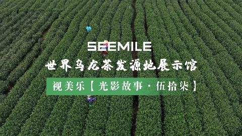 从一片青叶到世界名茶，视美乐用光影演绎乌龙茶的“前世今生”