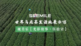从一片青叶到世界名茶，视美乐用光影演绎乌龙茶的“前世今生”