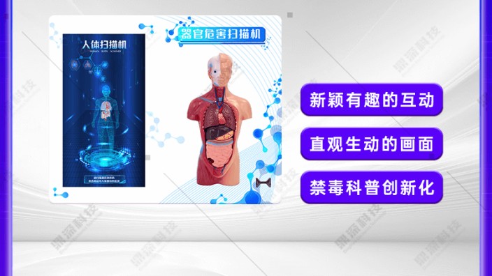 毒品对器官的危害扫描科普装置-器官危害扫描机-禁毒展厅设备