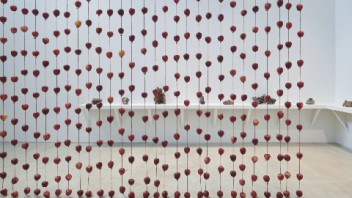 Anya Gallaccio‘s Organic Mementos Mori
