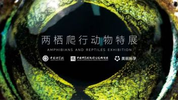 隐秘的精灵 | 美丽科学两栖爬行动物特展