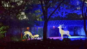 为何说<b>夜游</b>是文化的新舞台