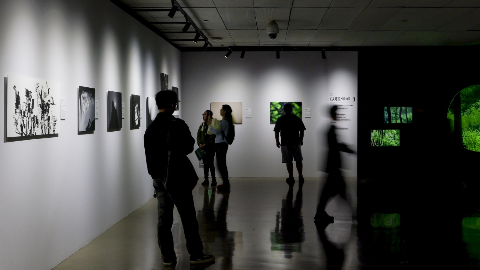 佳能行摄生态中国 鸟者边缘摄影艺术展