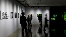佳能行摄生态中国 鸟者边缘摄影艺术展