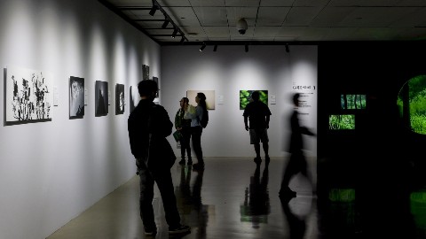 佳能行摄生态中国 鸟者边缘摄影艺术展