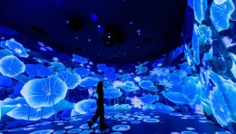 光影交织处，丝韵正苏醒！全国首个「锦绣纹华」苏州丝绸纹样数字馆