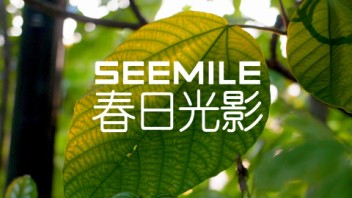 视美乐以光影为笔，开启春日绚烂