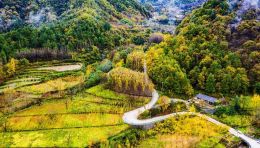 为什么要做文旅？为什么不能一直做文旅？