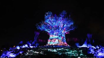 “生命之树”光影秀鲜活上演，激光投影成为现代版神笔马良