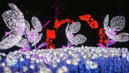 活化夜间经济，这可能是全球颜值最高科技感最强的6大案例