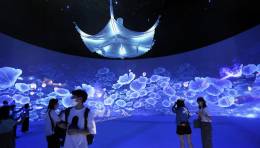 （沉浸式互动）看见未来——让沉浸式体验成为现实！