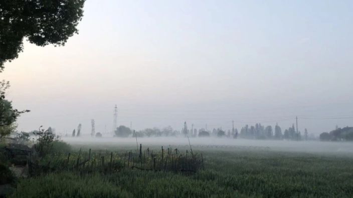 当你愿意反套路的时候，你就开始找到了自己的受众