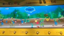 名雅科技之双屏展示---彩铅画成之大闸蟹归阳澄湖