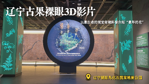 辽宁古果裸眼3D影片，生动再现最早花卉1.25亿年前的绽放瞬间