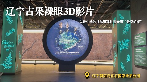 辽宁古果裸眼3D影片，生动再现最早花卉1.25亿年前的绽放瞬间
