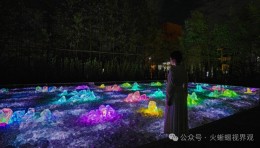 TeamLab利用风、雨和太阳在日本制造发光装置