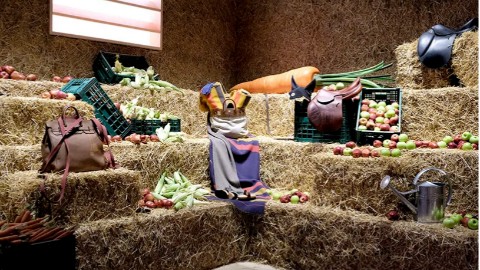 策展人必修：让展览“会讲故事”的9种顶级叙事模型！