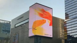 【第一弹】《A Garden 2021》 Art is your DUTY - 城市艺术活动