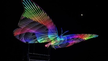 火人节——Mariposa