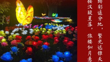 同样是“梁祝化蝶”，哪家光影秀能乘风破浪？
