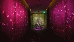 ASTORE出品—万达瑞华7星级酒店