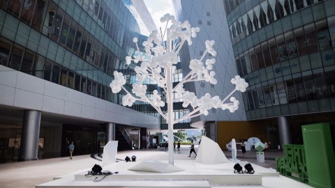 公共体验计划「Tree of Moment生命之树」
