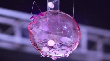 杀死<b>存钱罐</b>计划