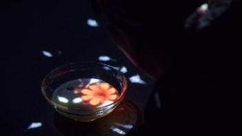 WASO Tea House 绽放在茶碗里那无限宇宙中的花朵