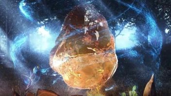 AR奇幻世界，神奇琥珀“镜”收眼底                   【第三站】