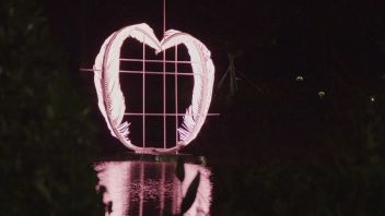 人文<b>追光</b>04｜深圳是懂浪漫的，赴一场全国独一无二的光影之约