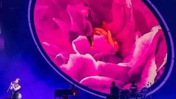 舞台丨《Shawn Mendes: The Tour》巡演：一朵开遍全球的玫瑰花
