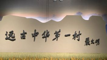观展 | 考古与公众对话——国家博物馆“稻·源·启明：浙江上山<b>文化考古</b>特展”访谈