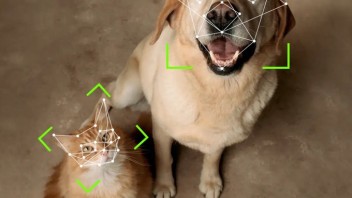 猫脸识别真来了？中国团队众筹9万美元开发了这个宠物智能锁