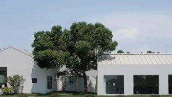 【创意设计】乡村建筑还可以这么酷！