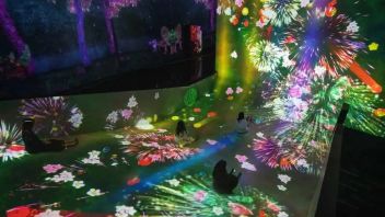 这个夏天，光影、梦幻，世间万千美好齐聚北京teamLab！