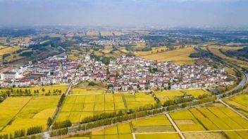 【政策前沿】2023年<b>中央一号文件</b>说了啥？要点速览来了！