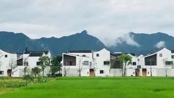 【乡村振兴】如何解决<b>乡村规划</b>落地难问题？