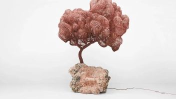 nacho carbonell 在木头中探索感官和记忆