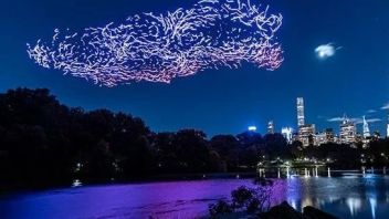 <b>纽约</b>中央公园上空漂浮着1000架发光无人机