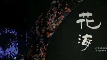 来银川，赴一场光影之约