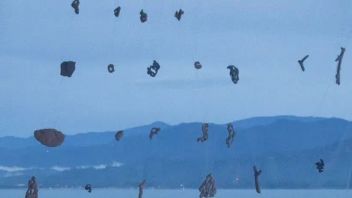 阿那亚UCCA<b>沙丘美术馆新展</b>丨审思“溢流地”，直面人与自然的现实拷问