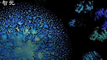 Meta打造首个「蛋白质宇宙」全景图！用150亿参数语言模型，预测了6亿+蛋白质结构