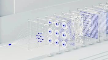 要素、场景与全球化：数字经济如何创新发展？